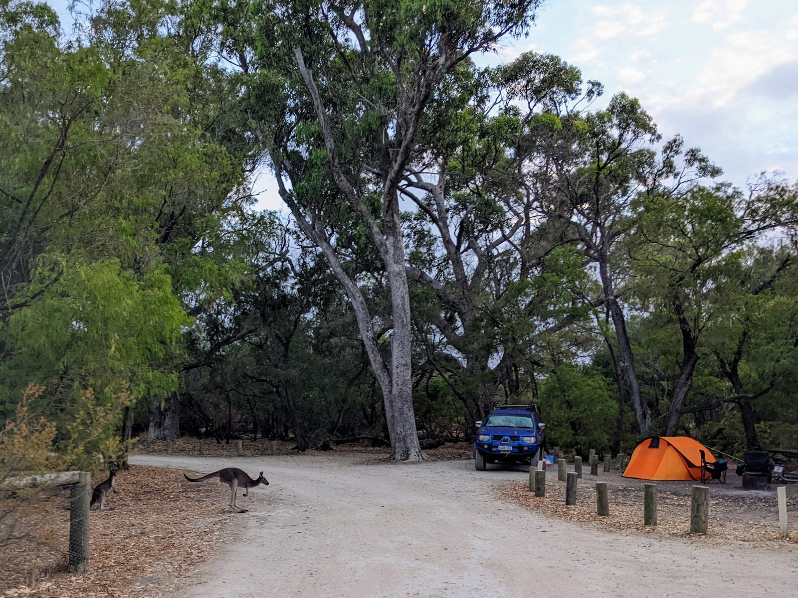 Belvidere Campground 2