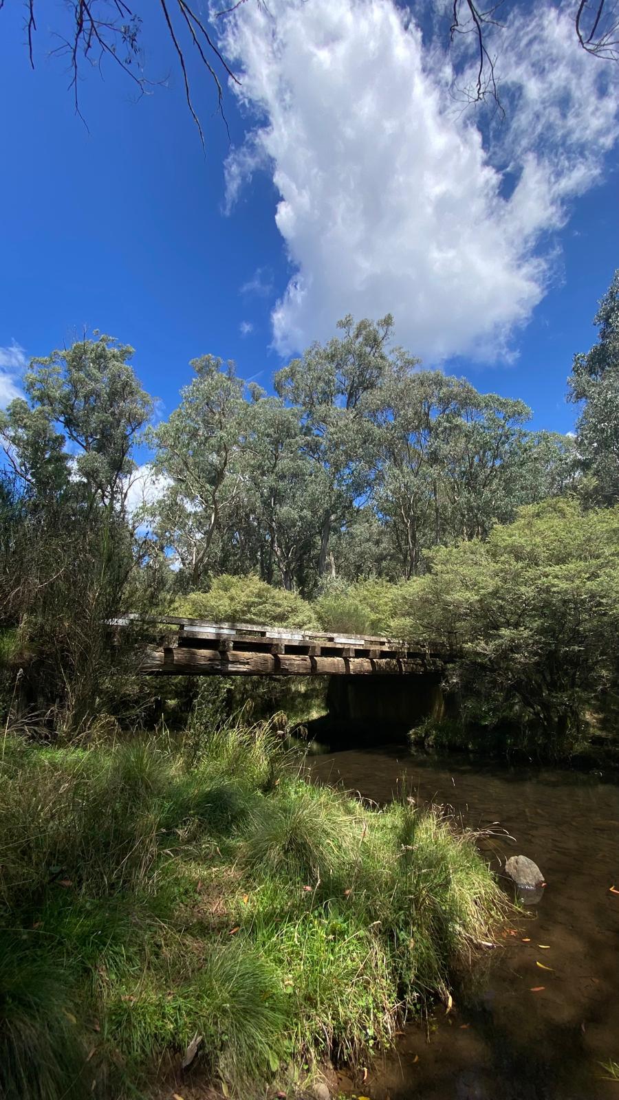 Manning River Picnic Area 3