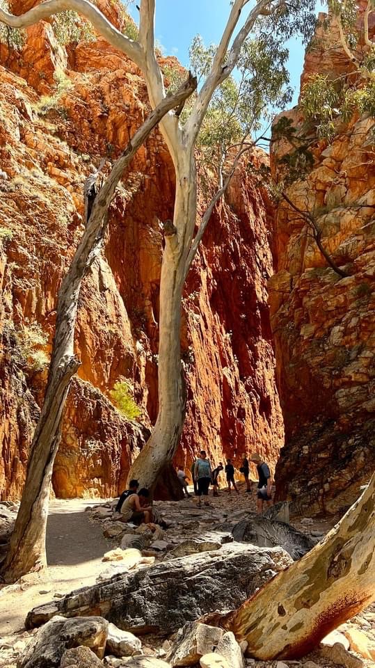 Standley Chasm Lookout 2