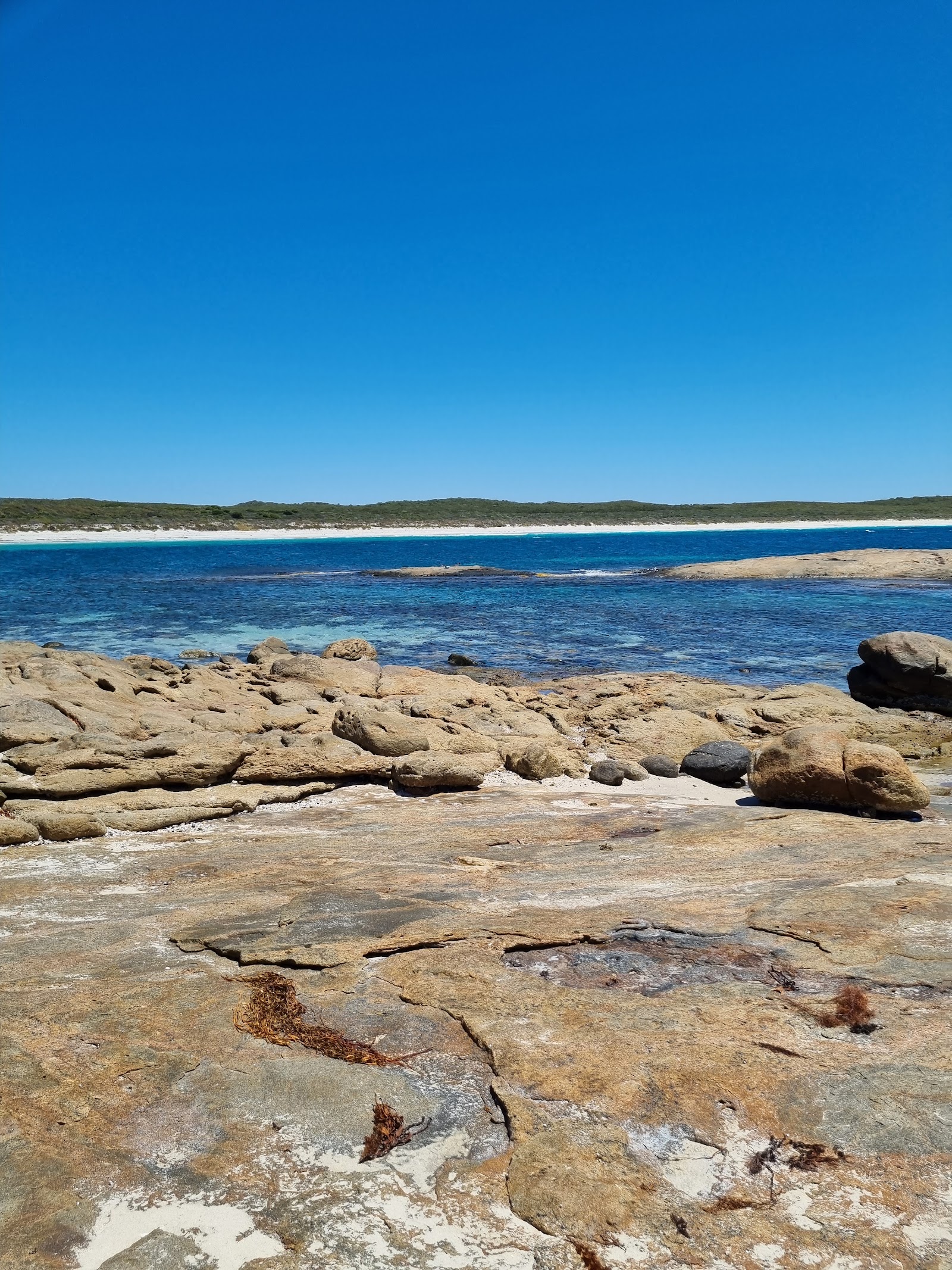 Fanny Cove 2