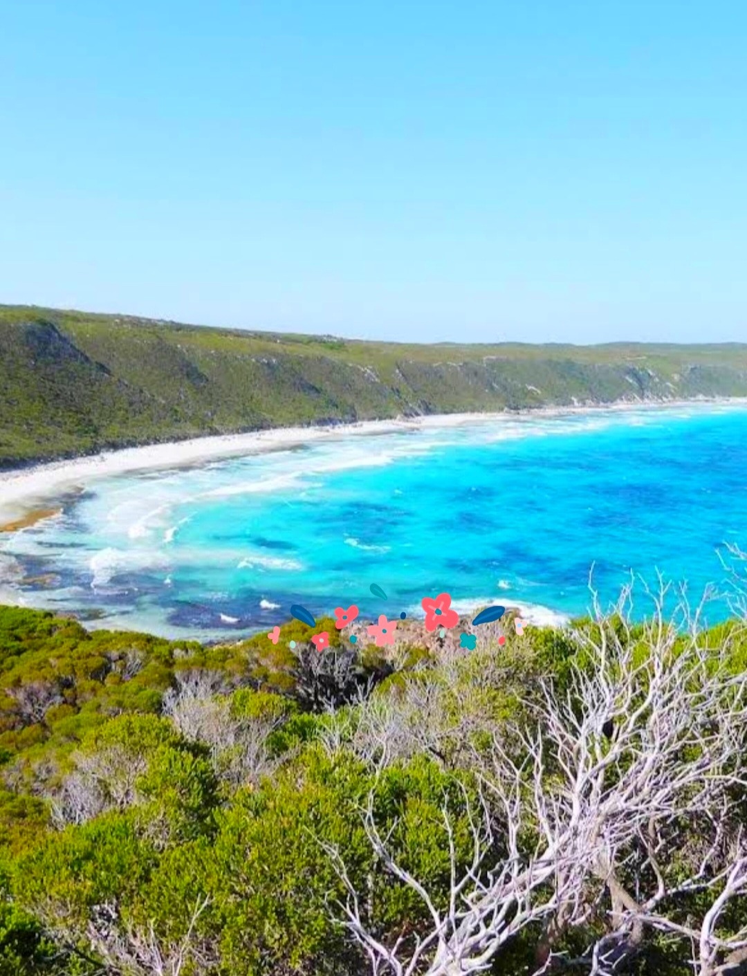 Fanny Cove 3