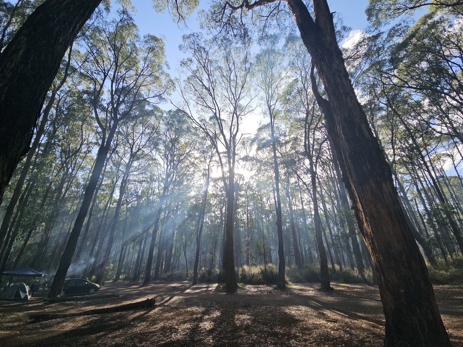 Kurth kiln Scout Loop 2