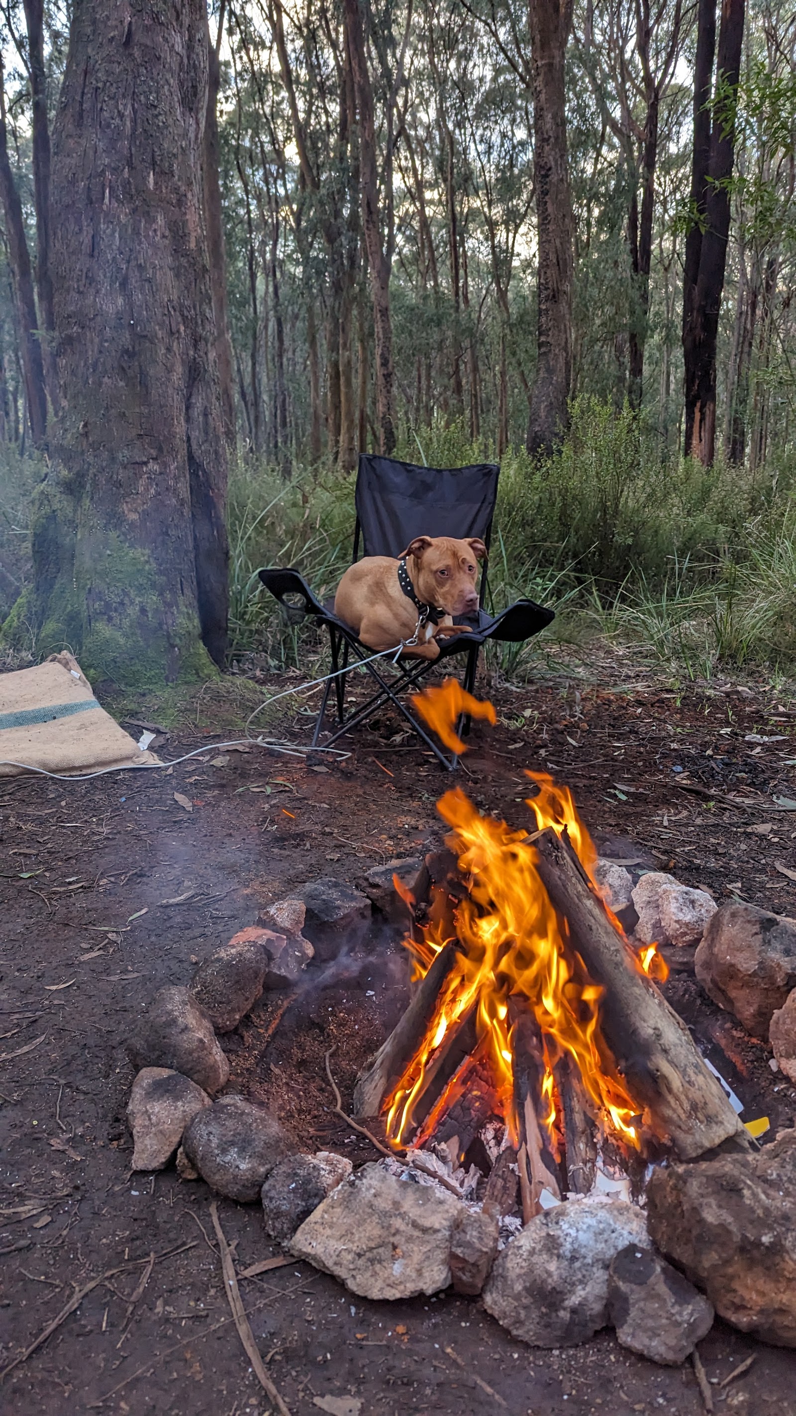 Kurth kiln Scout Loop 3