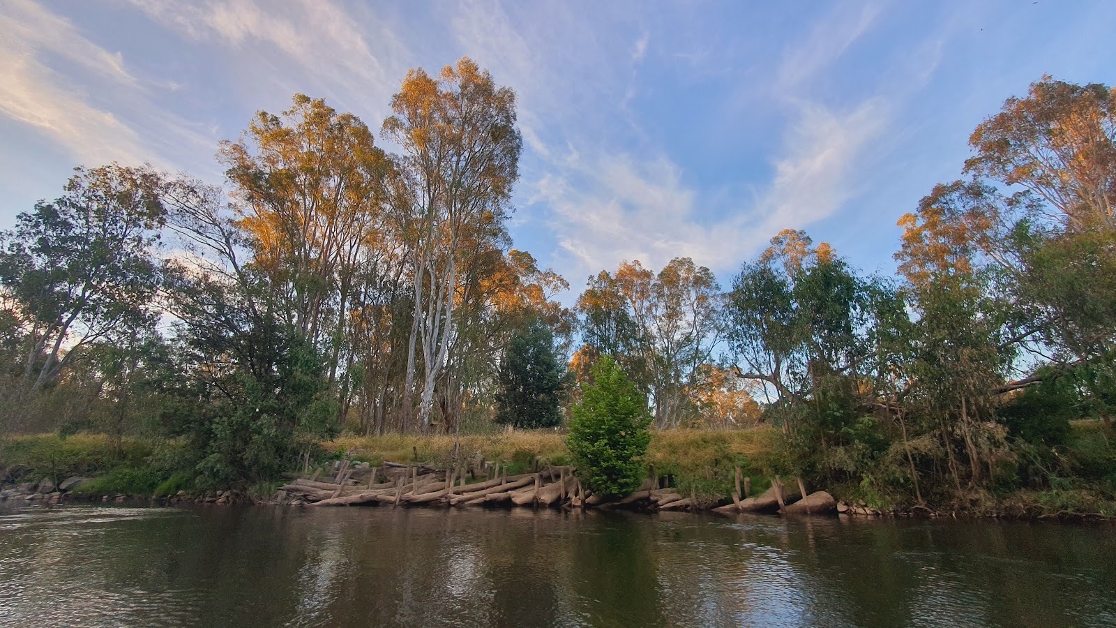 Ovens Billabong Bushland Reserve 5