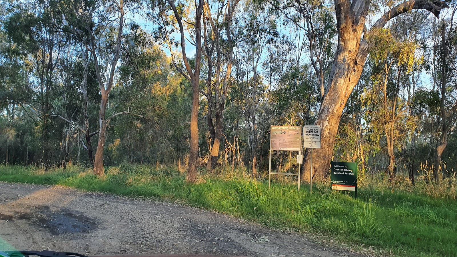 Ovens Billabong Bushland Reserve 3