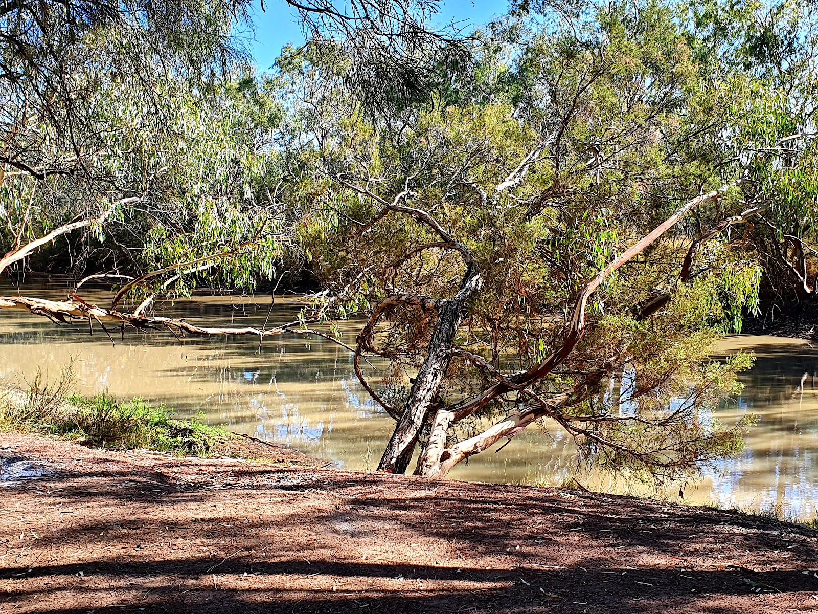 Barcoo River Weir 2