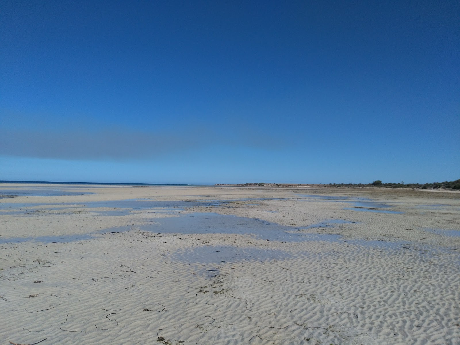 Wattle Point - Bush Campground 3