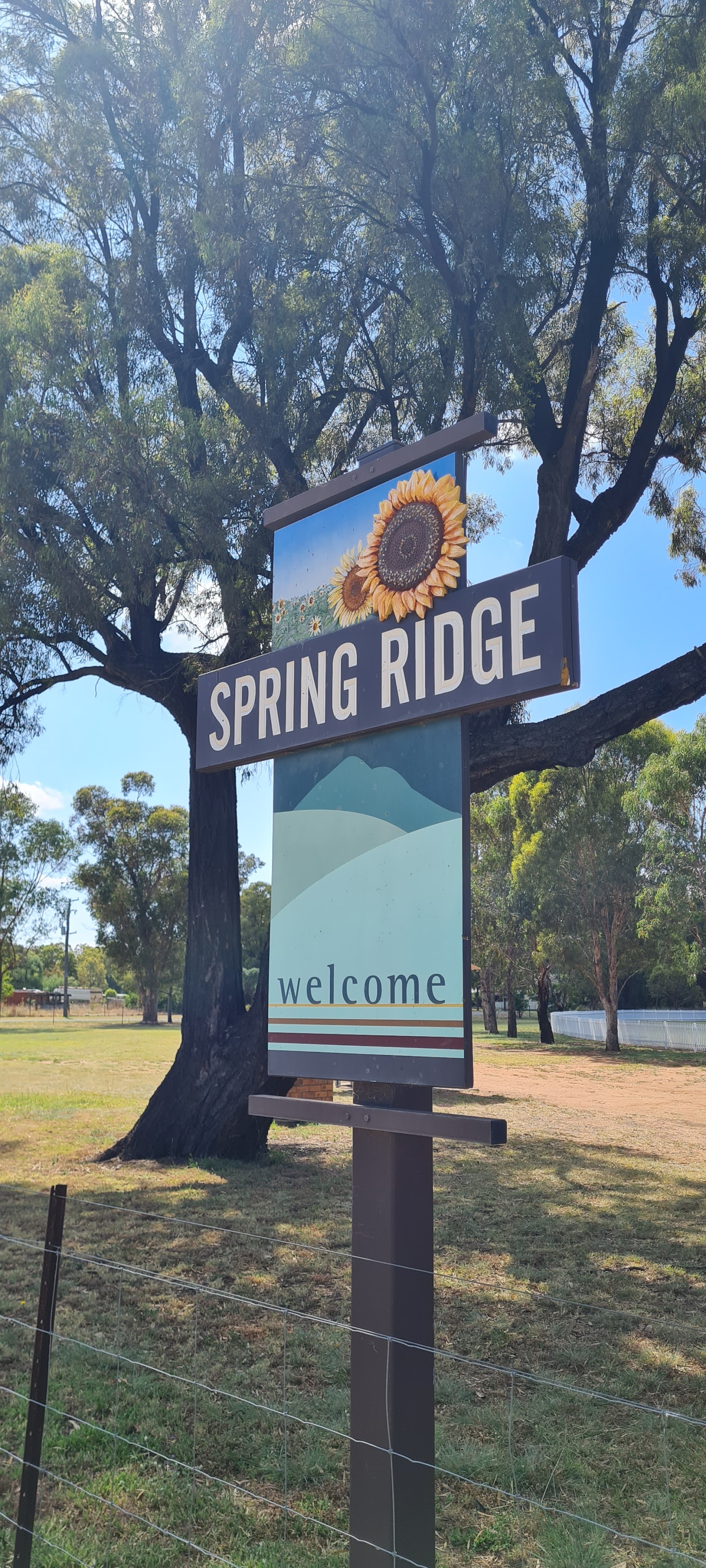 Spring Ridge Campground 2