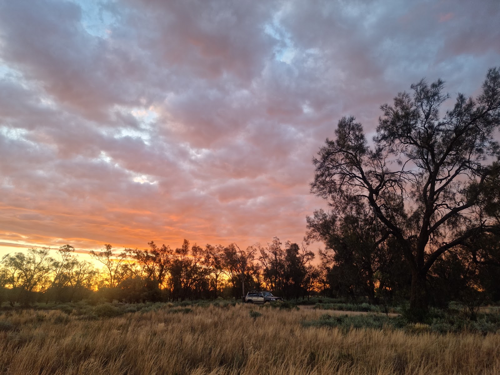 The Willows Campground 3
