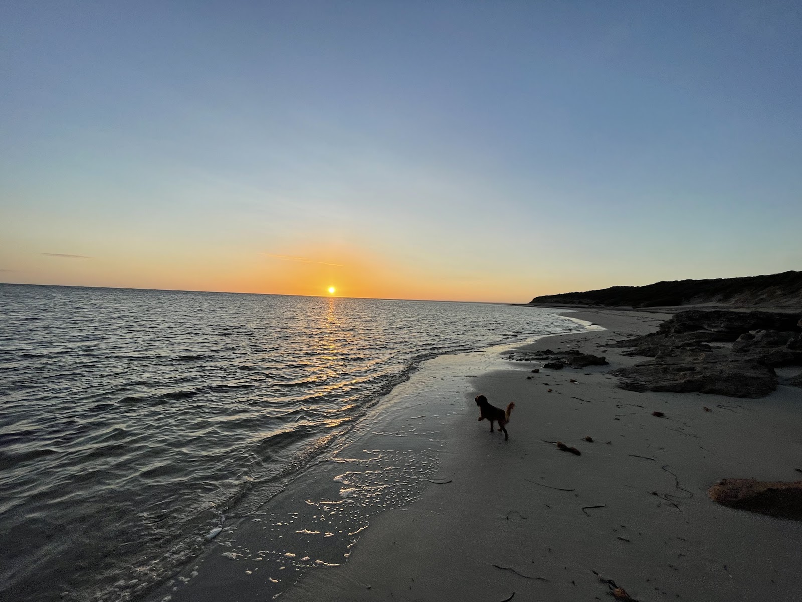 Mozzie Flat - Bush Campground 2