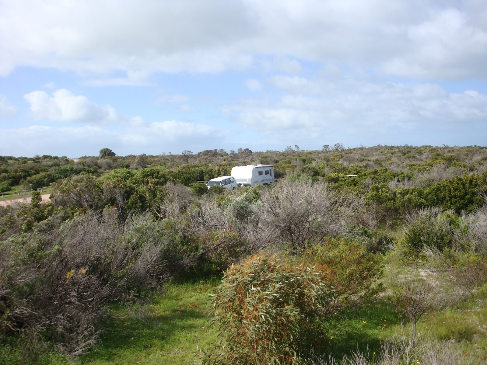 Mozzie Flat - Bush Campground 3