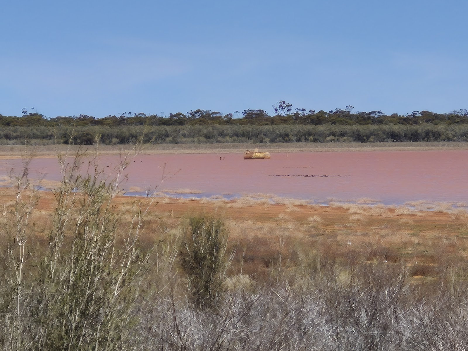Rowles Lagoon Conservation Park 3