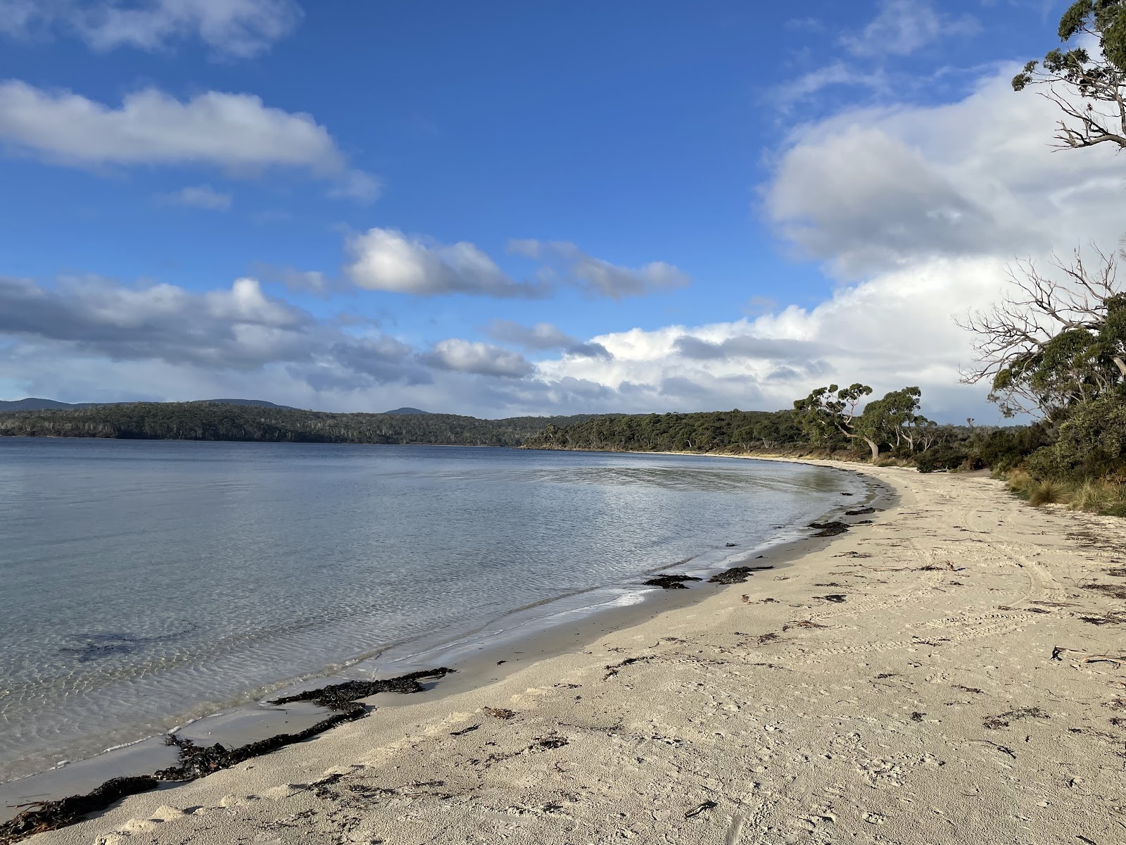 Jetty Beach Camp Area 2