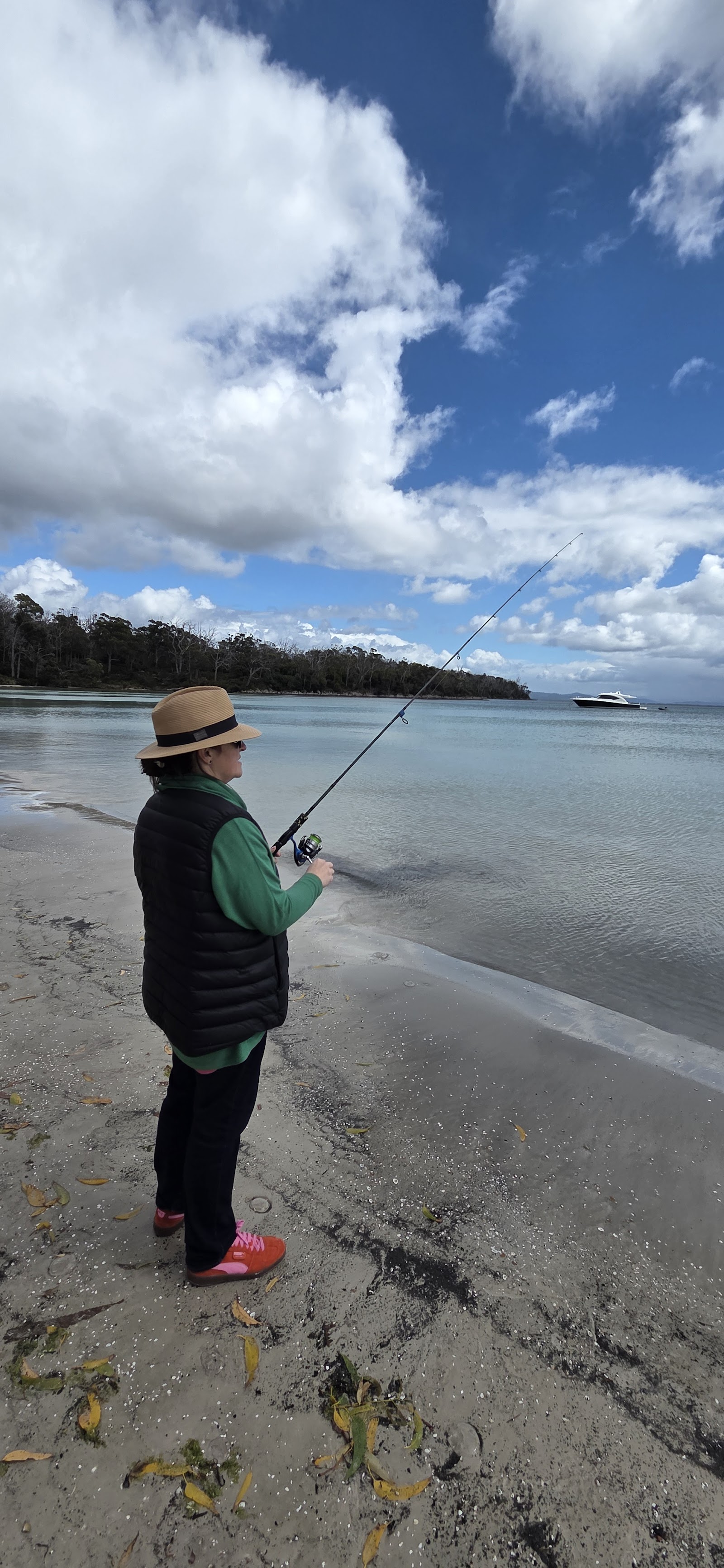 Jetty Beach Camp Area 3
