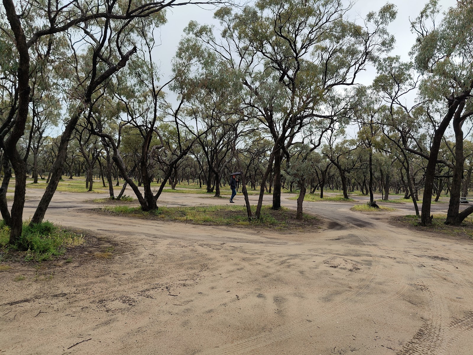 Western Beach Campground - Lake Albacutya Regional Park 2