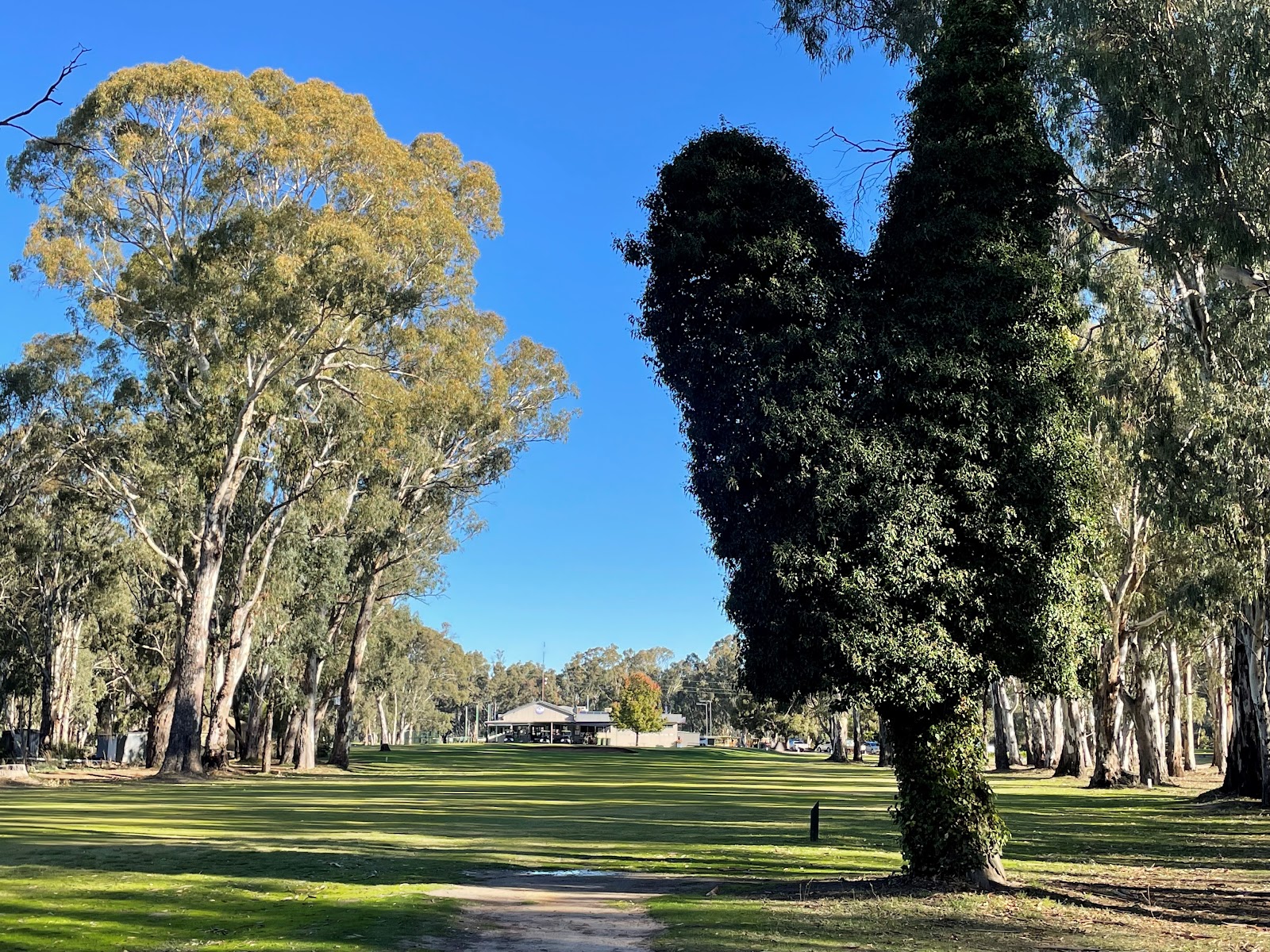 Cohuna Golf Club 5