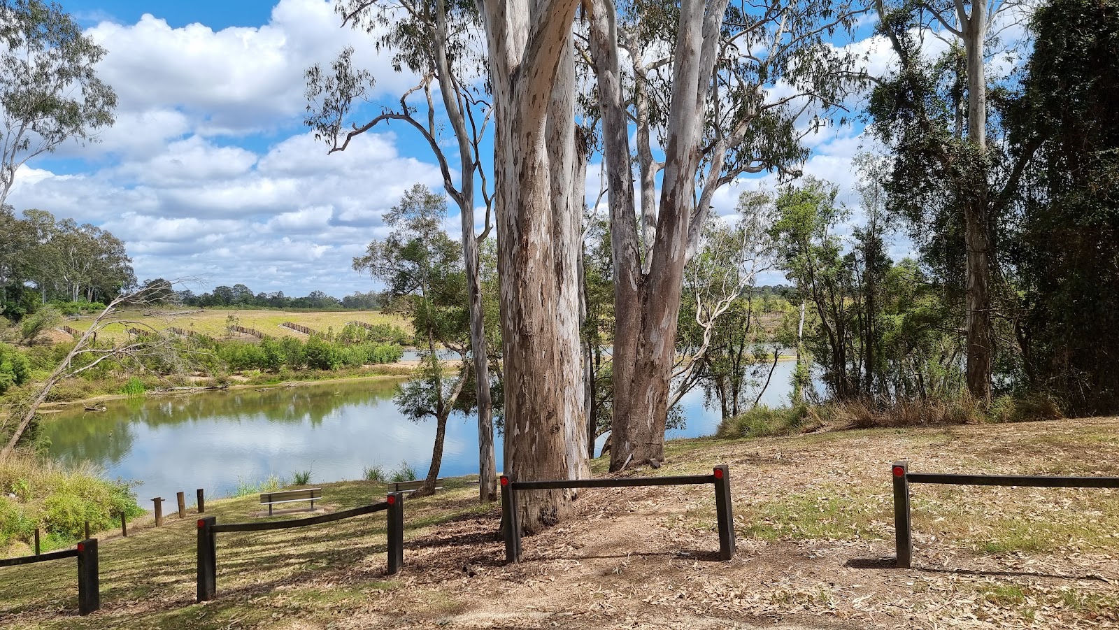 Petrie Park 2