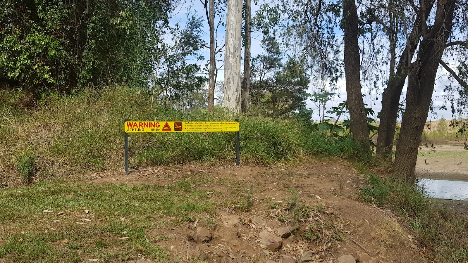 Petrie Park 3