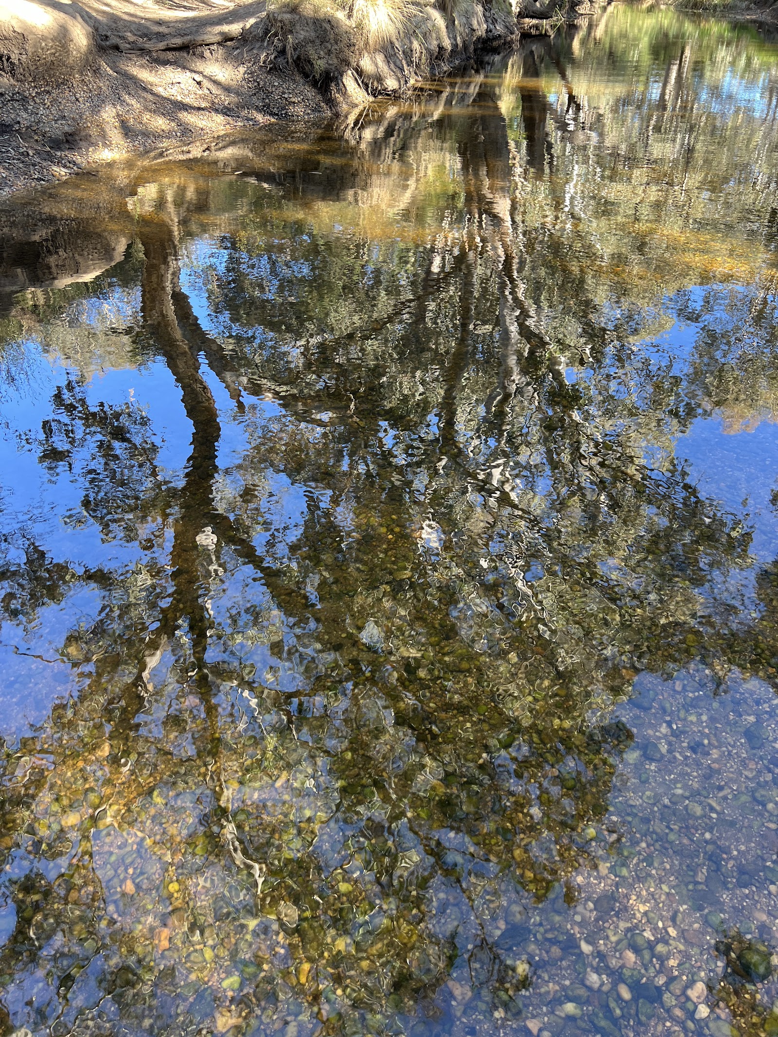 Leigh River 3