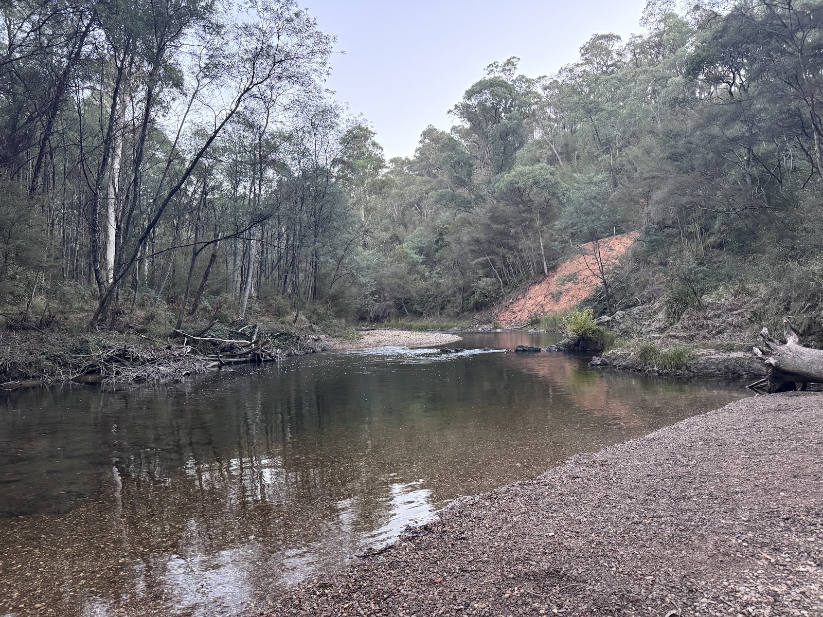 Skipworth Reserve 8