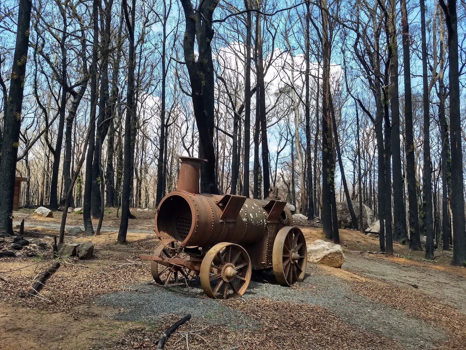 Lowden Forest Park Camping Area 2