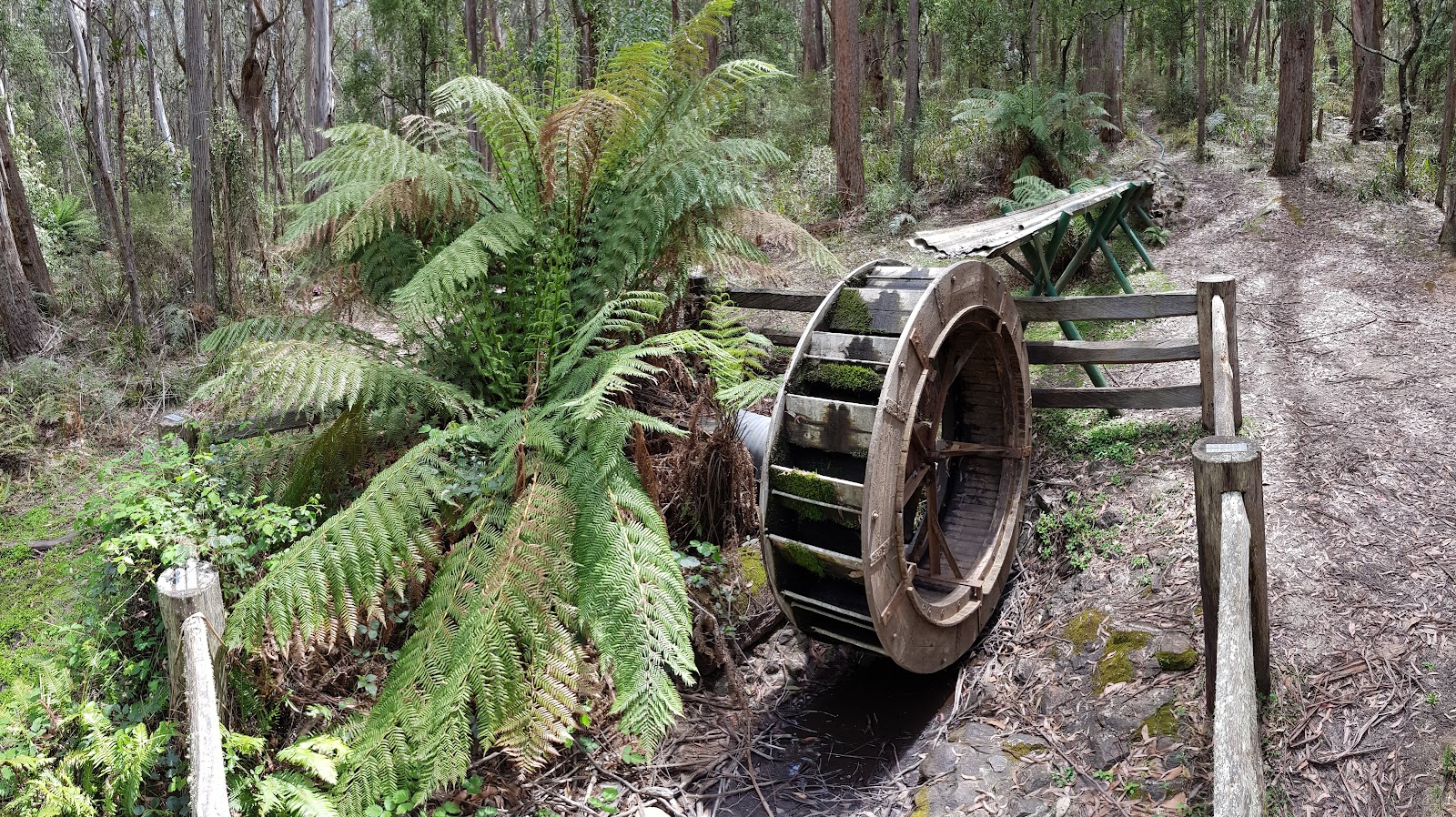 Lowden Forest Park Camping Area 5