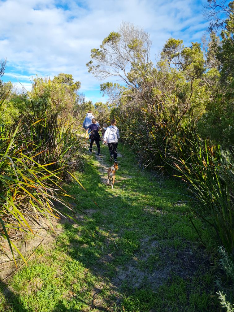 Bush Camp - Southend Tourist Park 5