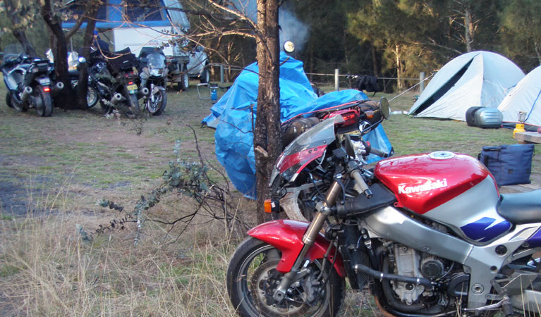 Bummaroo Ford campground 2