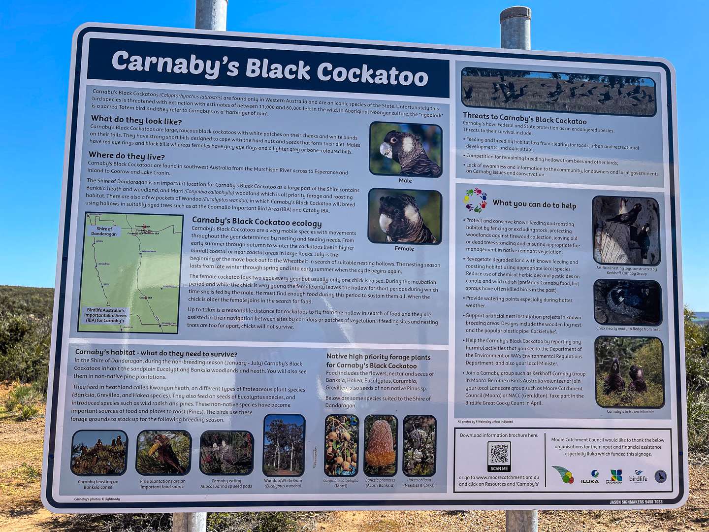 Smokebush Reserve 4