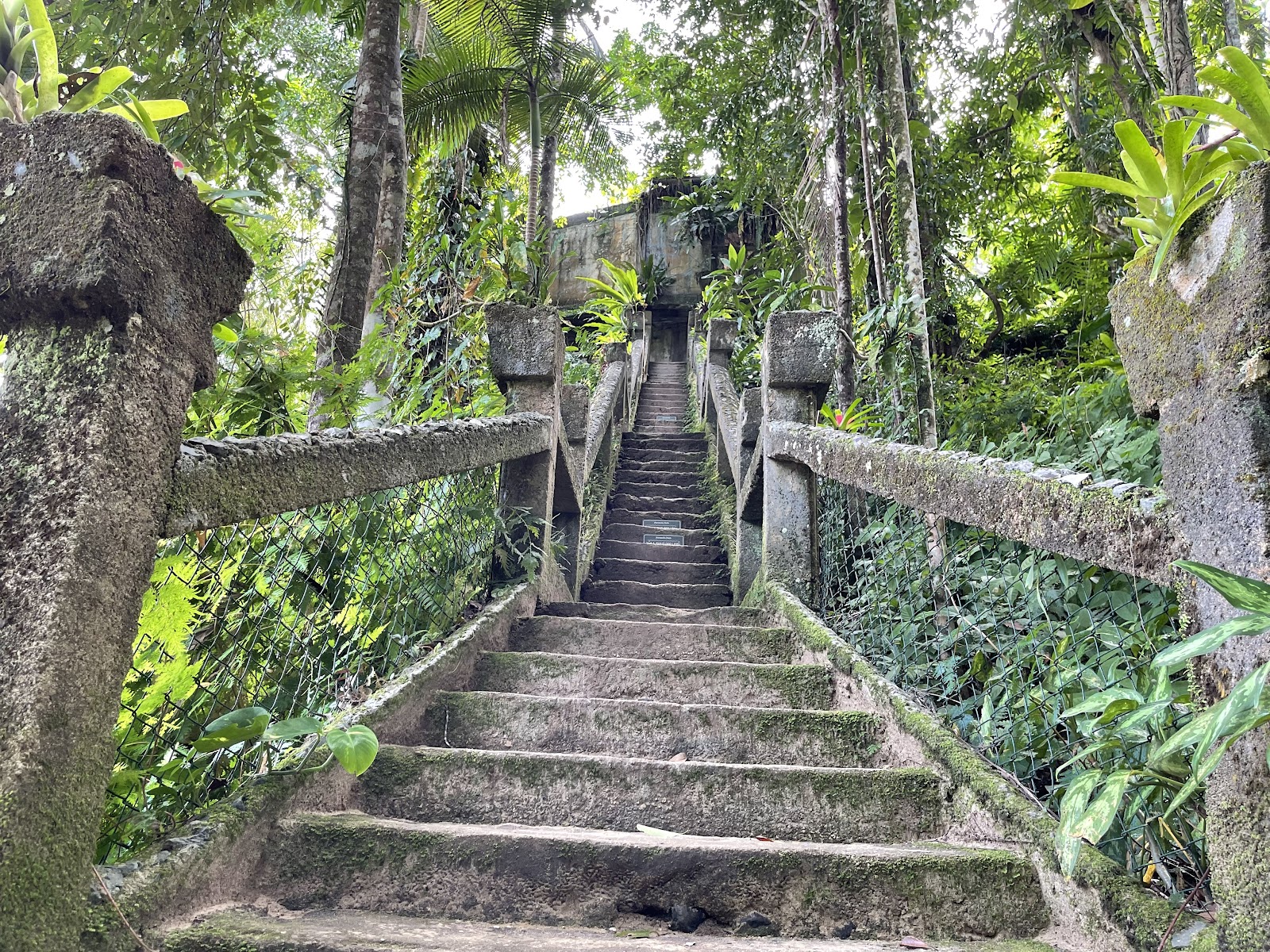 Paronella Park 8