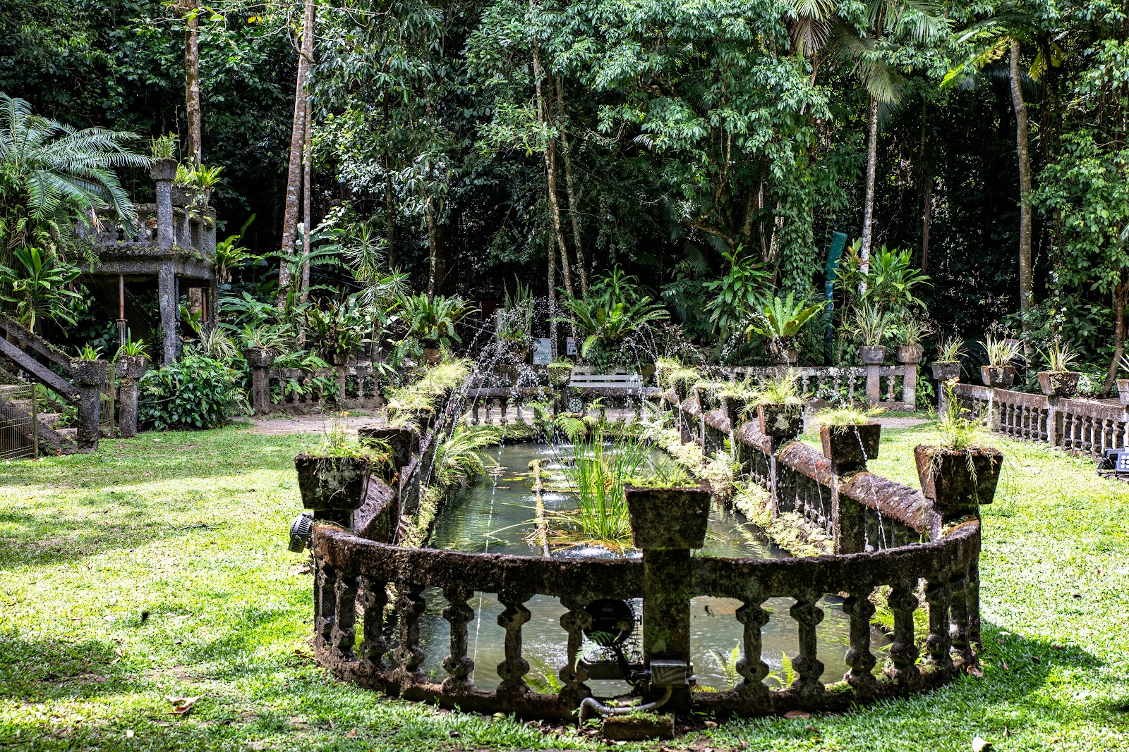 Paronella Park 13