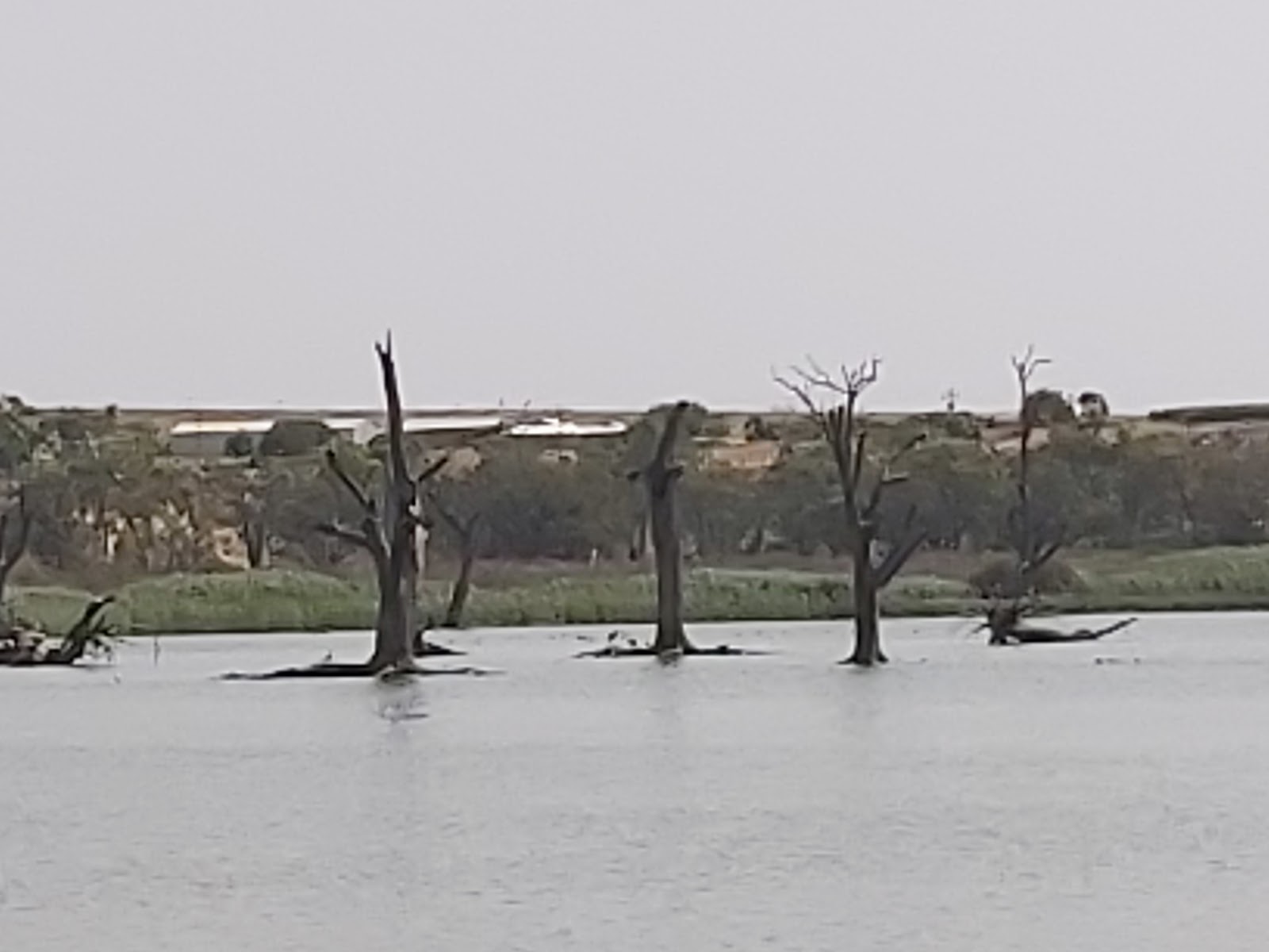 Hart Lagoon 2
