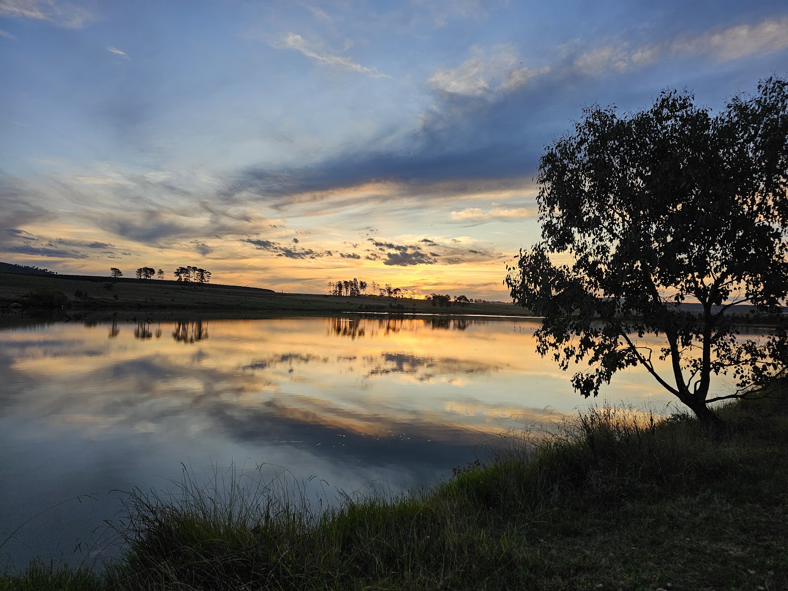 Mannus Lake Free Campground 2
