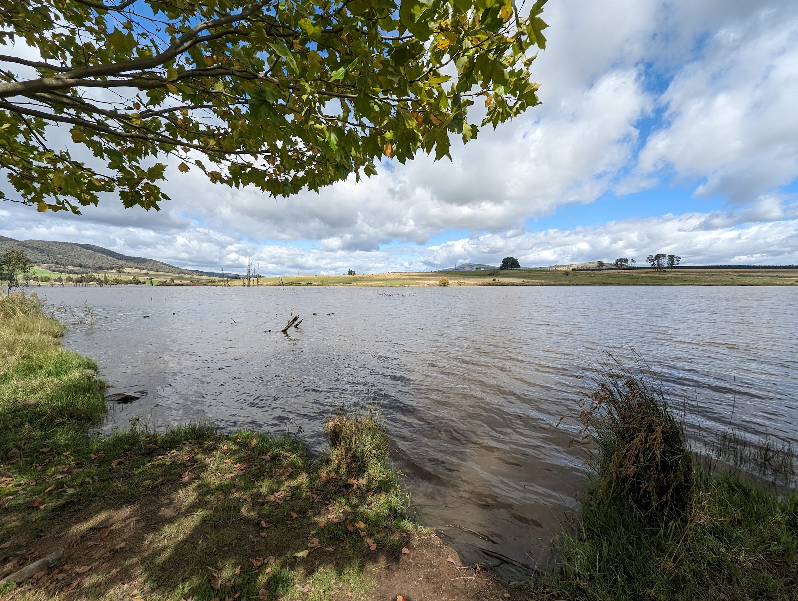 Mannus Lake Free Campground 3