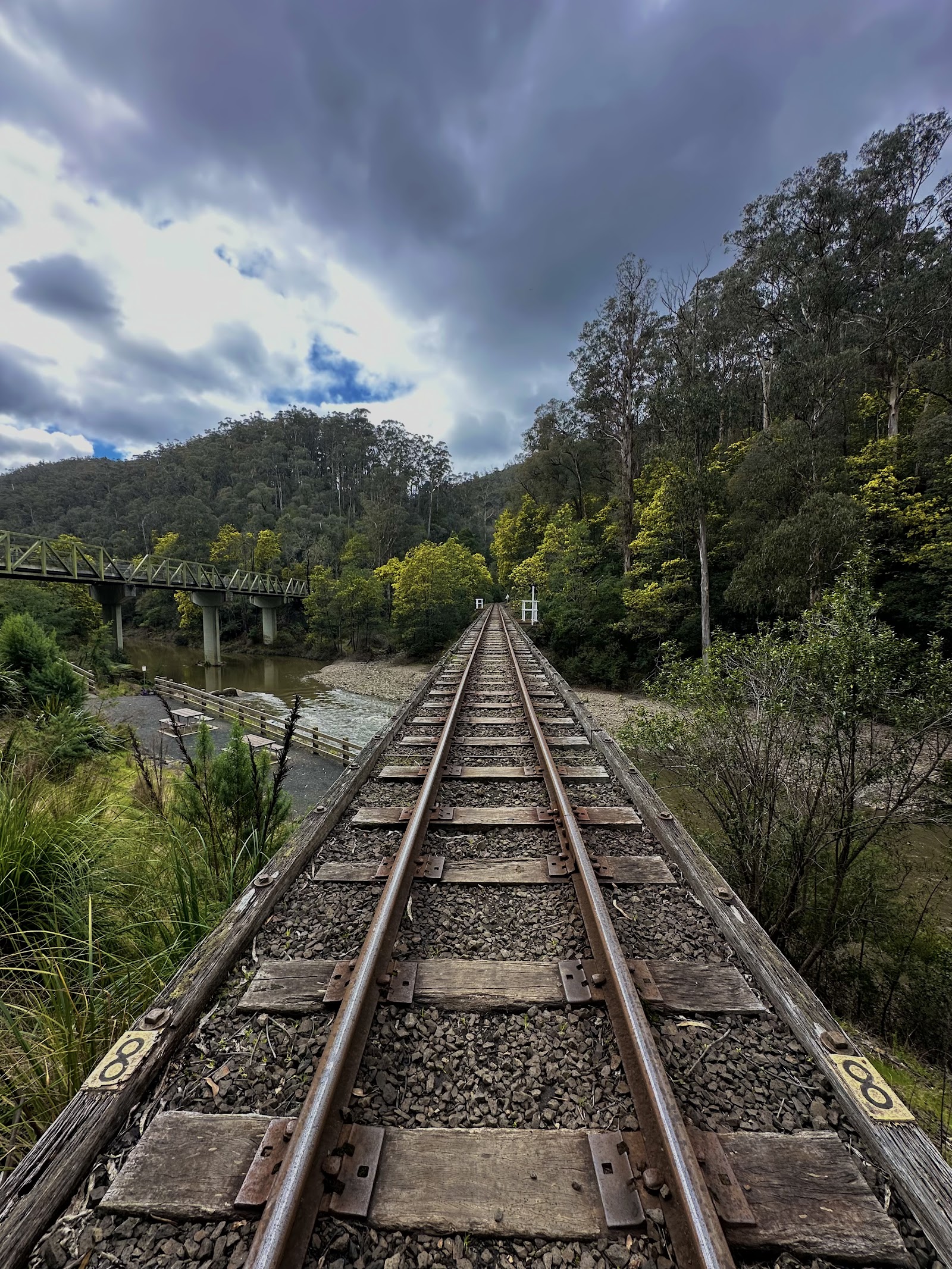 Thomson River Bridge 2