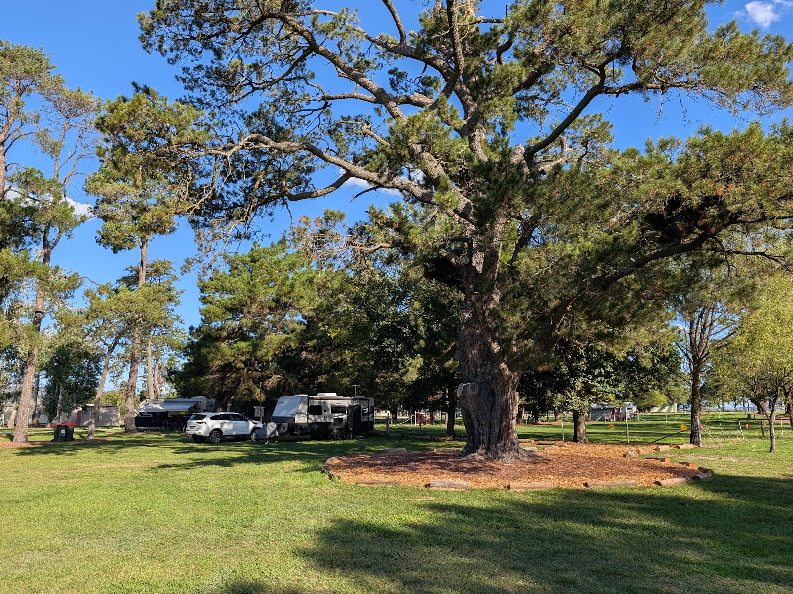 Bungendore Showground 3