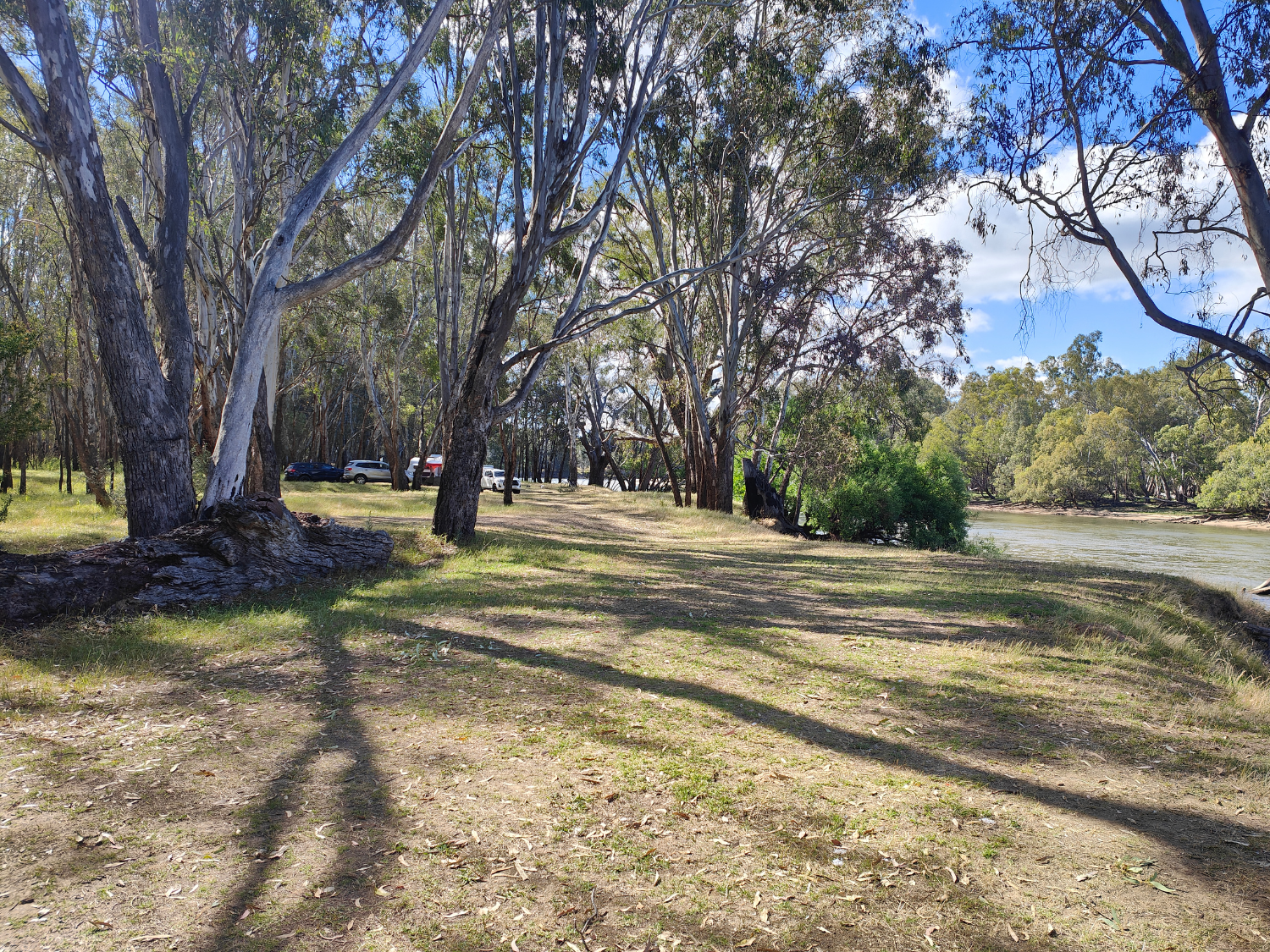 Corowa Common Camping 6