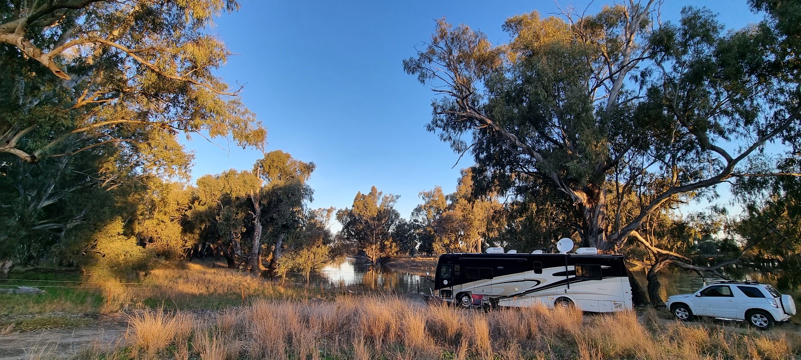 Lachlan River Campground 3