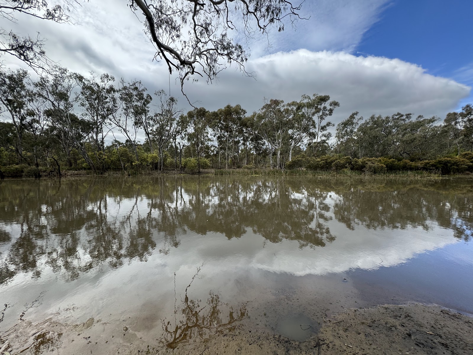 Major Creek Reserve 3
