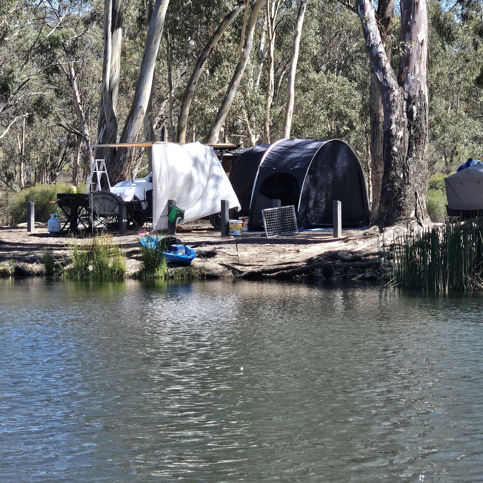 Major Creek Reserve 7