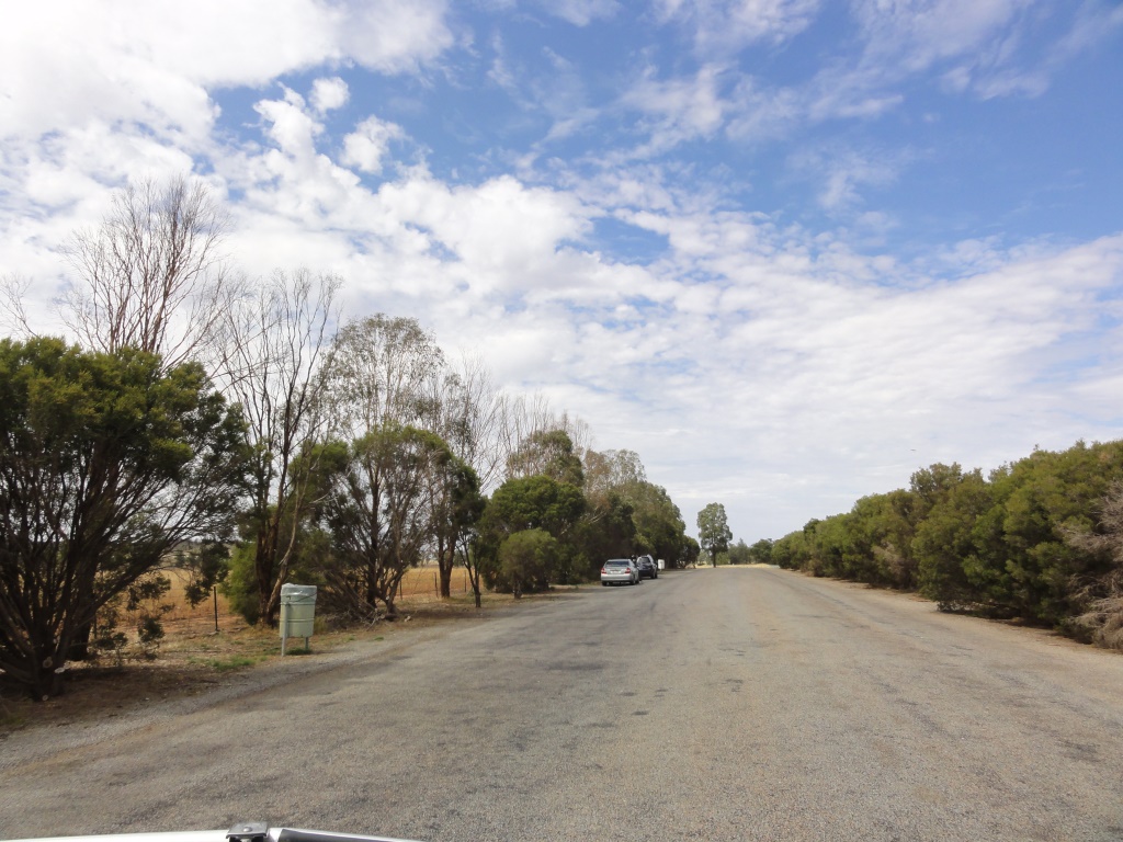 Ardlethan Rest Area Northbound 2