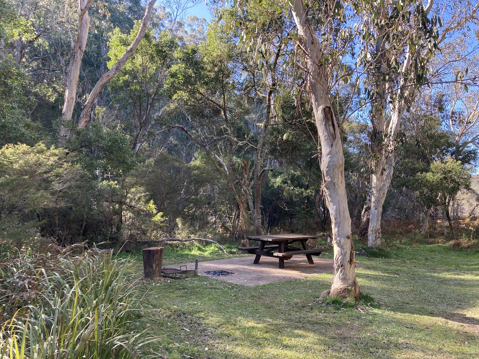 Mooraback Campground 3