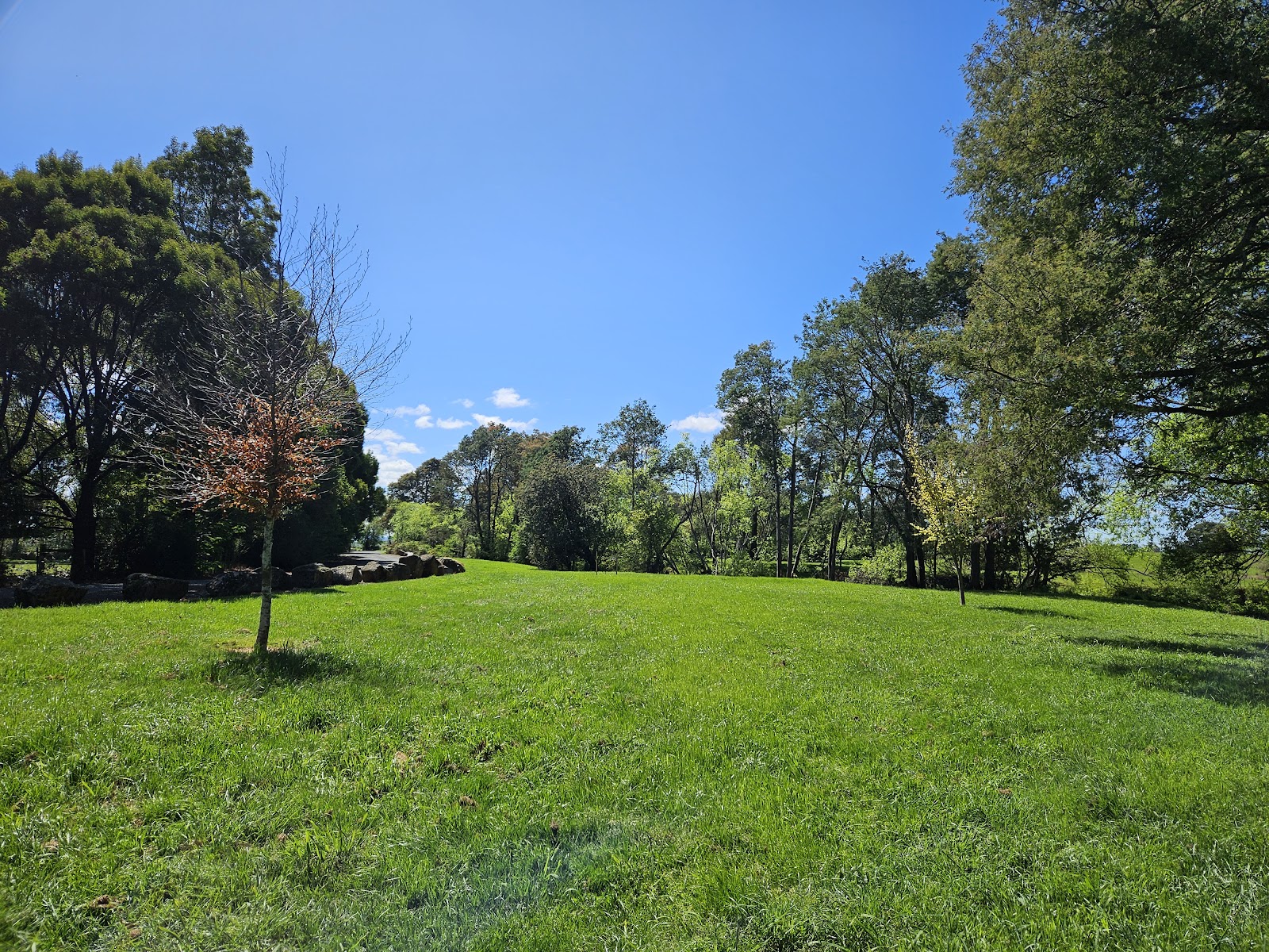 Bracknell River Reserve 3