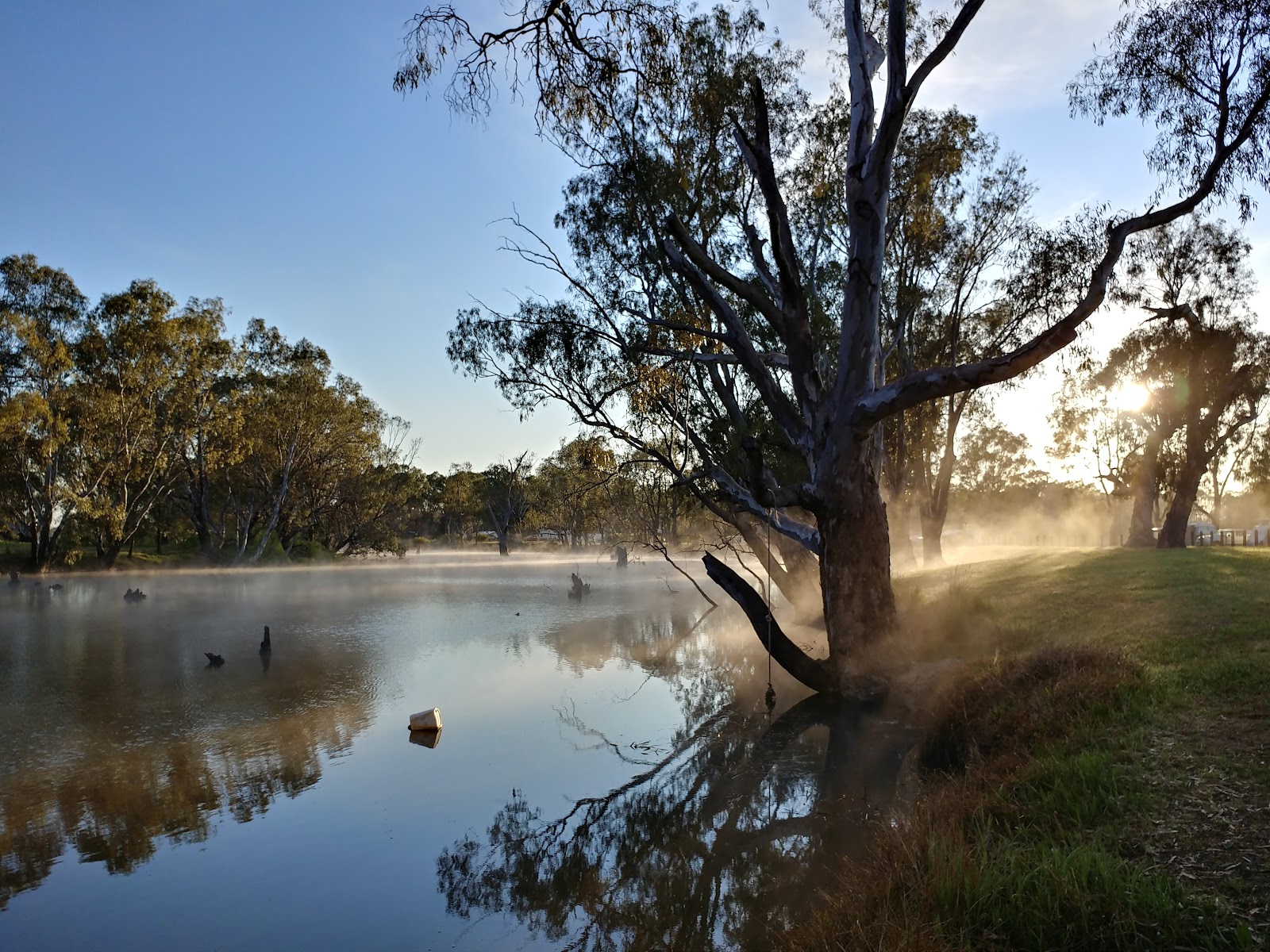 Aysons Reserve (Campaspe River) 2