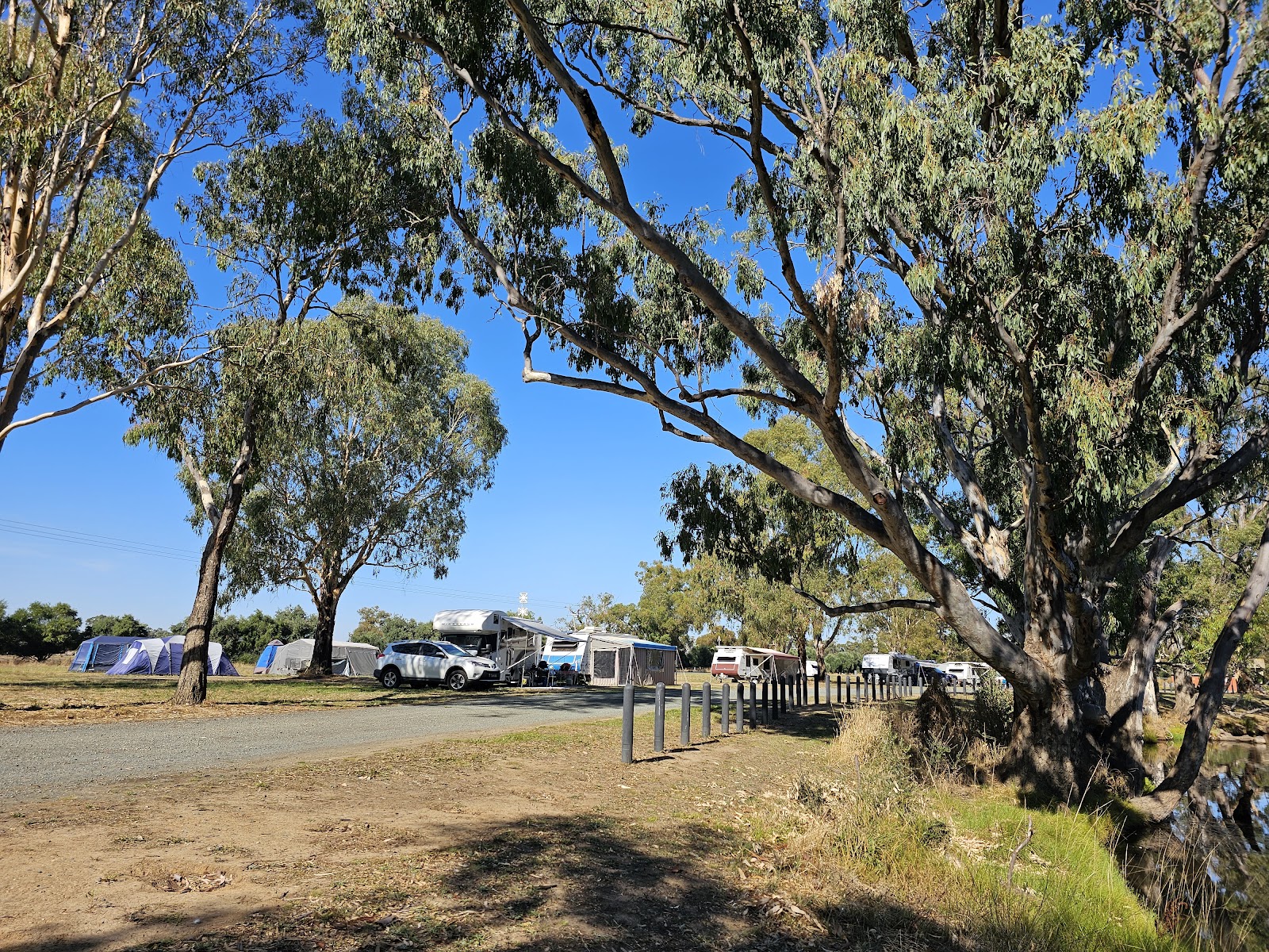 Aysons Reserve (Campaspe River) 3