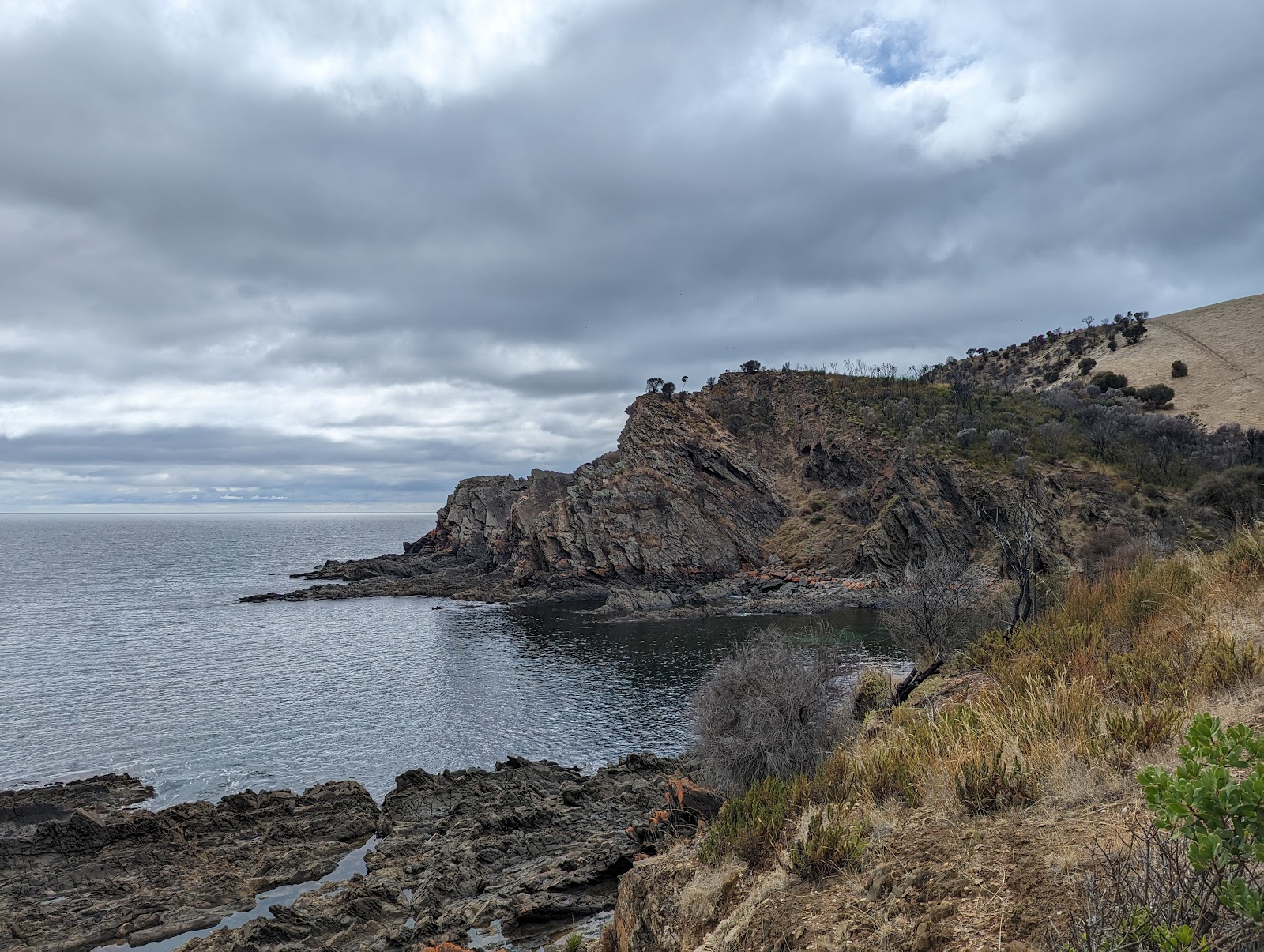 Western River Cove 3