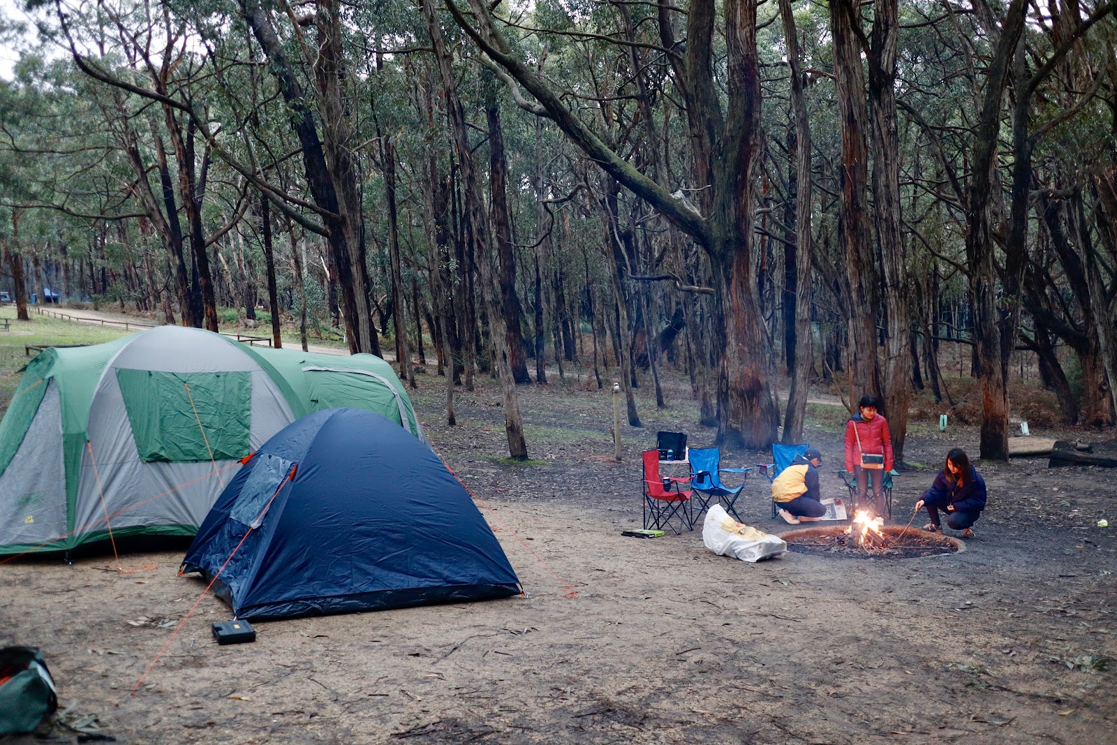 Stringybark Campsite 2