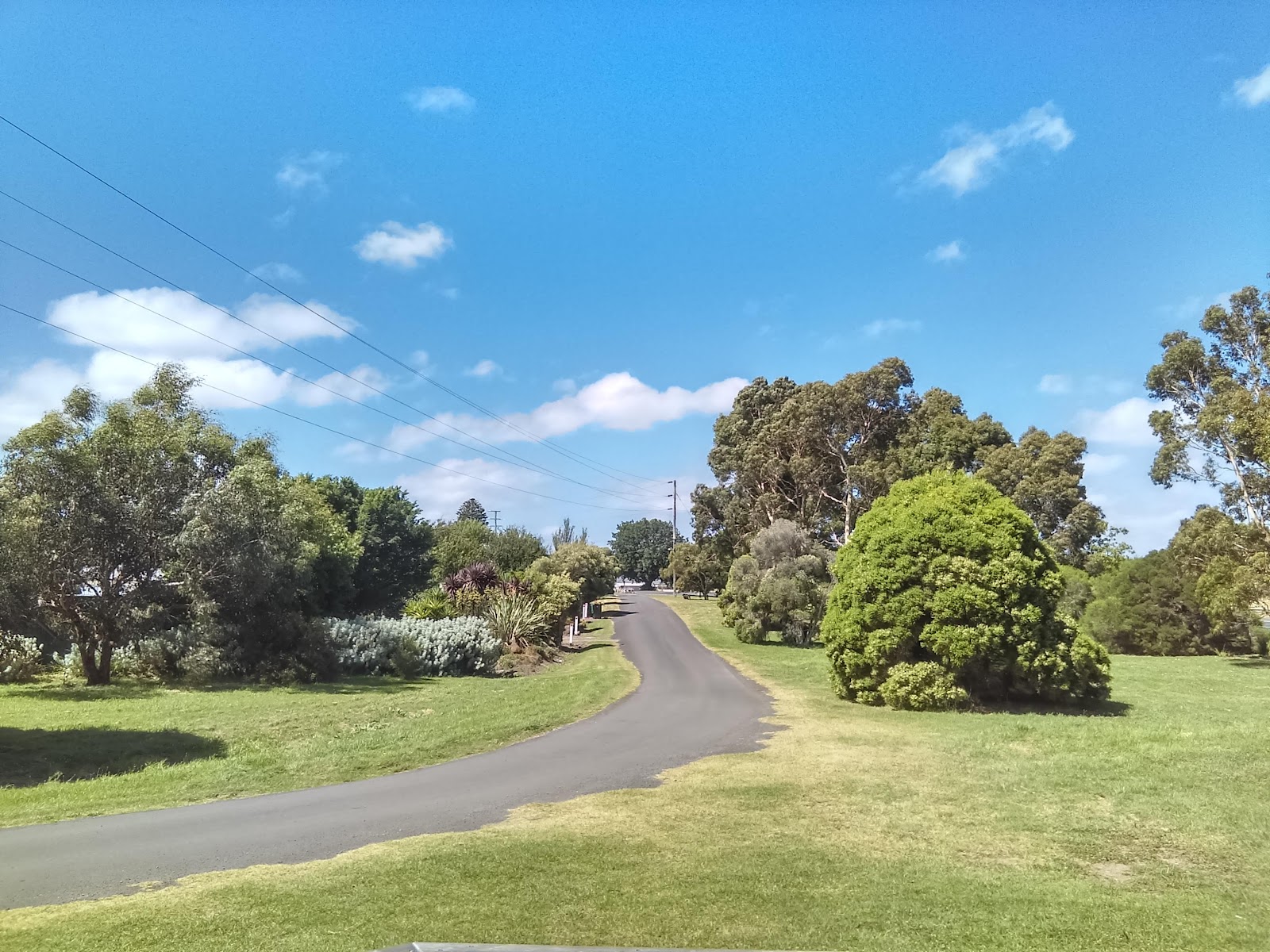 Panmure 5