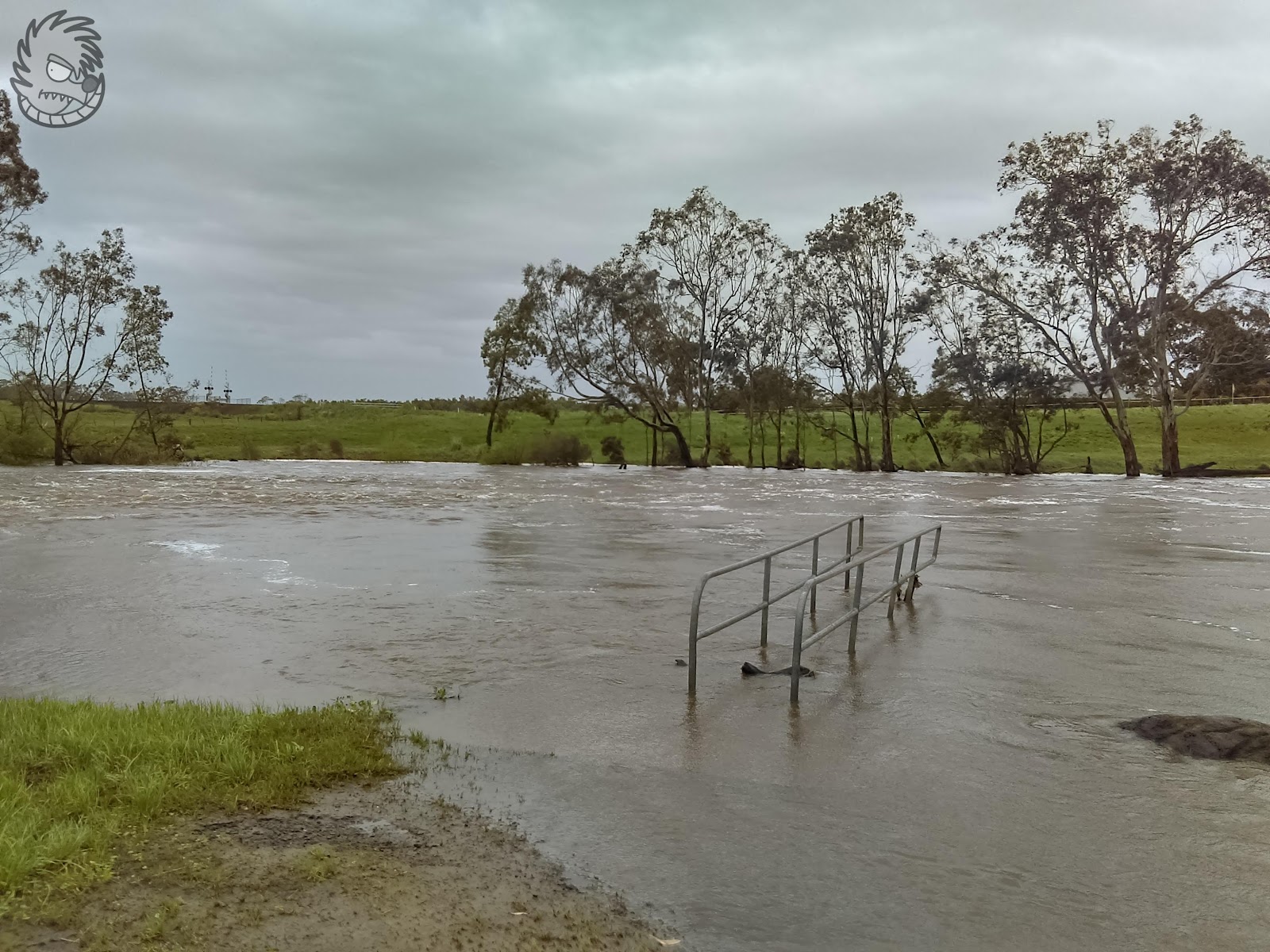 Panmure 11