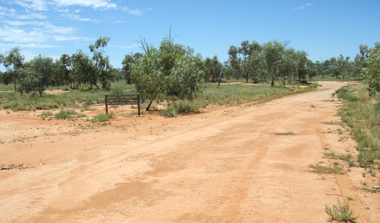 Fort Grey Campground 2